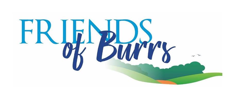 Friends of Burrs